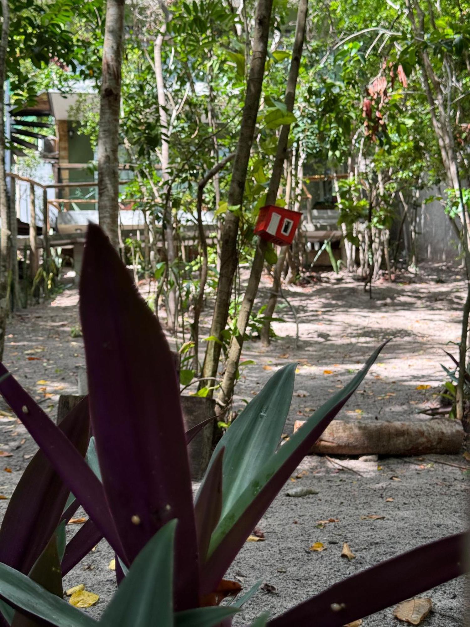 Villa Ninhos Da Pipa Praia de Pipa Esterno foto
