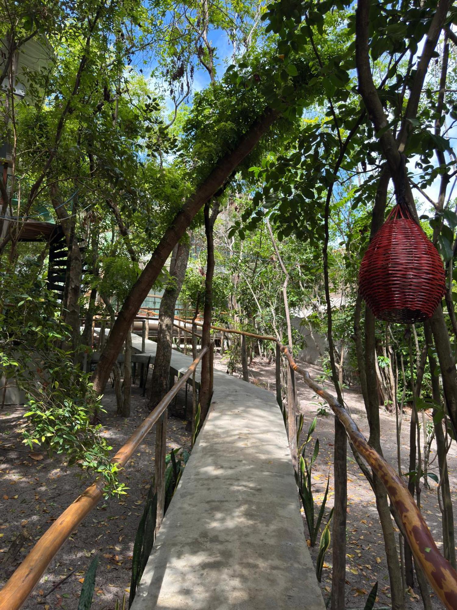 Villa Ninhos Da Pipa Praia de Pipa Esterno foto